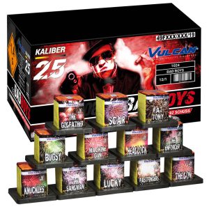 Bad Boys Assortment F2 Vuurwerk Weert