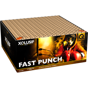 Fast Punch